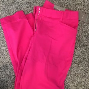 Maurice’s Hot Pink  dress pants 15/16